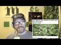 Cannabis News - Swinging for the Fences | Ep. 610 | 03-06-2020