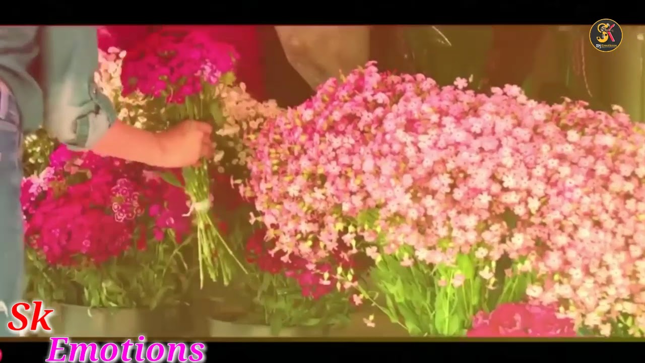 Happy Rose Day girlfriend to boyfriend Stutas WhatsApp Status Valentine 👓 Day Romantic Video🎬