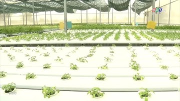 Huyện Đất Đỏ phát triển nông nghiệp công nghệ cao | BRTgo