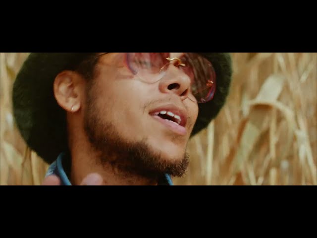 REUBEN JAMES - MEANS THE WORLD FEAT. BRAXTON COOK, CARRTOONS & GARETH LOCKRANE