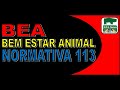 SUINOCULTURA: SOS SUÍNOS - BEA - Bem estar Animal  - Normativa 113