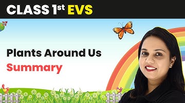 Class 1 EVS | Plants Around Us - Summary