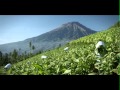 Djarum Coklat Kretek
