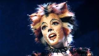 Old Deuteronomy chooses the cat who will go to the Heaviside Layer
