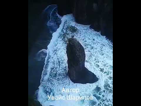 Видео: Улаан ба наалдамхай тос нь дугуй холхивчонд сайн уу?