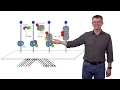 Stephen P. Bell (MIT / HHMI) 2: Single-Molecule Studies of Eukaryotic DNA Replication