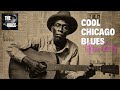 Cool Chicago Blues - Blue Lantern Nights – Soft Chicago Guitar