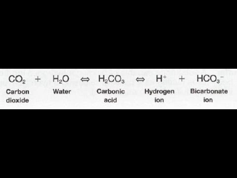 Experiment VI - The Partition Coefficient & Acid/Base Chemistry