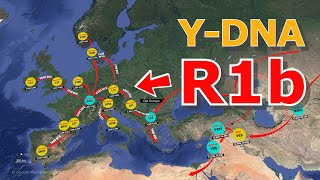 How did the YDNA Haplogroup R1b become European(Human Migration)?