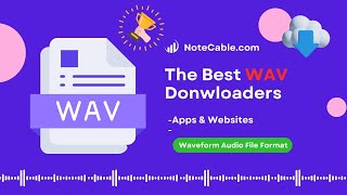 2025 Best WAV Downloaders [Apps & Websites] - Work for Spotify, Apple Music, YouTube Music, etc. screenshot 3
