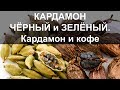 Кардамон чёрный и зелёный. Кардамон и кофе