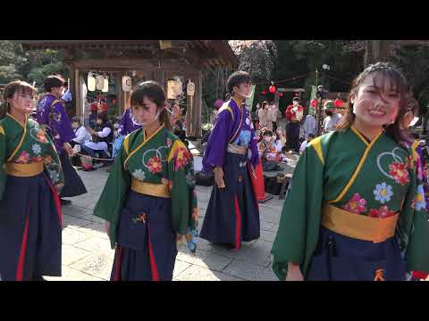 法政大学YOSAKOIソーランサークル鳳遙恋『極彩色』【4K-ND1】／流し演舞／秦野元気まつり春の陣2022