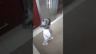 Emah Gives Noah Hug After Putting Her Diaper In The Bin. Subscribe Share Comment