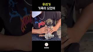 우리가 가족이 되었어