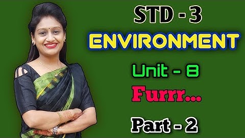 Std.3 | Environment | Unit-8 | Furrr | Pat-2 | Birds surrounding our house | By Krishna Panchal