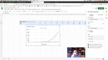 Tutoriel graphique avec deux axes verticaux