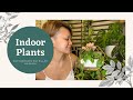 INDOOR PLANTS THAT WILL NOT DIE ON YOU