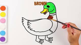 Learning colors through coloring in a duck!