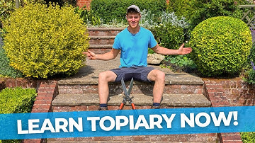 How to Prune a Topiary Ball | Complete Tutorial