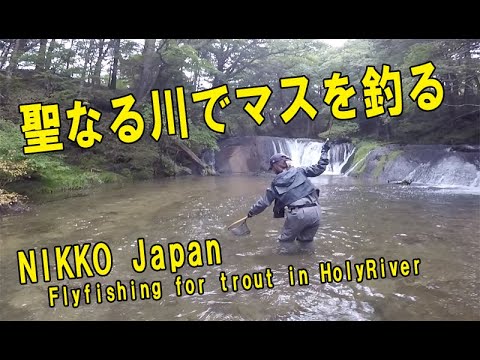 釣りガール・湯川のブルックトラウト　Flyfishing In Holy river in Nikko,Japan