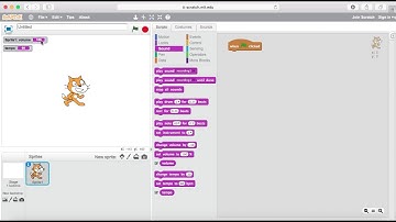 Volume & Tempo Scratch Sound Block Pink