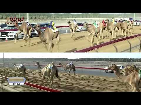 ش7 وهاج ل أحمد سلطان بالرشيد السويدي المرموم الأسبوع الخامس 09 11 2025 جذاع قعدان محليات 9 19 0