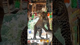 my new project video AI clone 😎😄🐯#automobile #allah