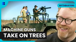 Machine Gun vs. Tree - Mythbusters - S04 EP29 - Science Documentary