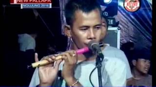 TAK BERDAYA-ANI ARLITA & TASYA NEW PALLAPA LIVE NGUJUNG