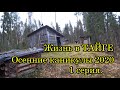 Жизнь в ТАЙГЕ. Осенние каникулы 2020. 1 серия.