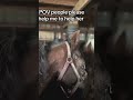 Please 🙏 help us she is in need your help please #horse #foundation #rescueefforts #donaters