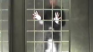 PROFIT PRISON - Seven Words (Official Video)