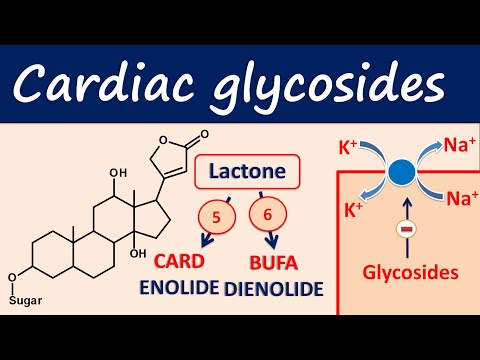 Cardiac glycosides in easy way