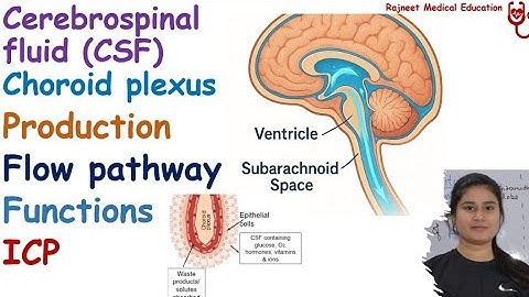 Cerebrospinal Fluid | Production | Functions | Flow Pathway