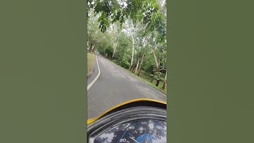 CCS UNIVERSITY | CAMPUS TOUR | CCSU | SO PEACEFUL #youtubeshorts #viralvideo #ccsu #campuslife #tour