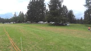 WWHA LGRA  at Roy, WA May 24, 2014 Program 2 -- Basenji by James Johannes 11 views 9 years ago 27 seconds