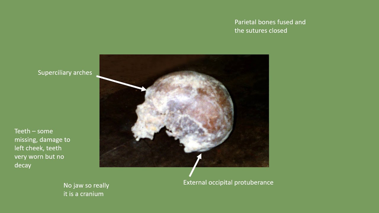 The Fiskerton skull an Iron Age discovery YouTube