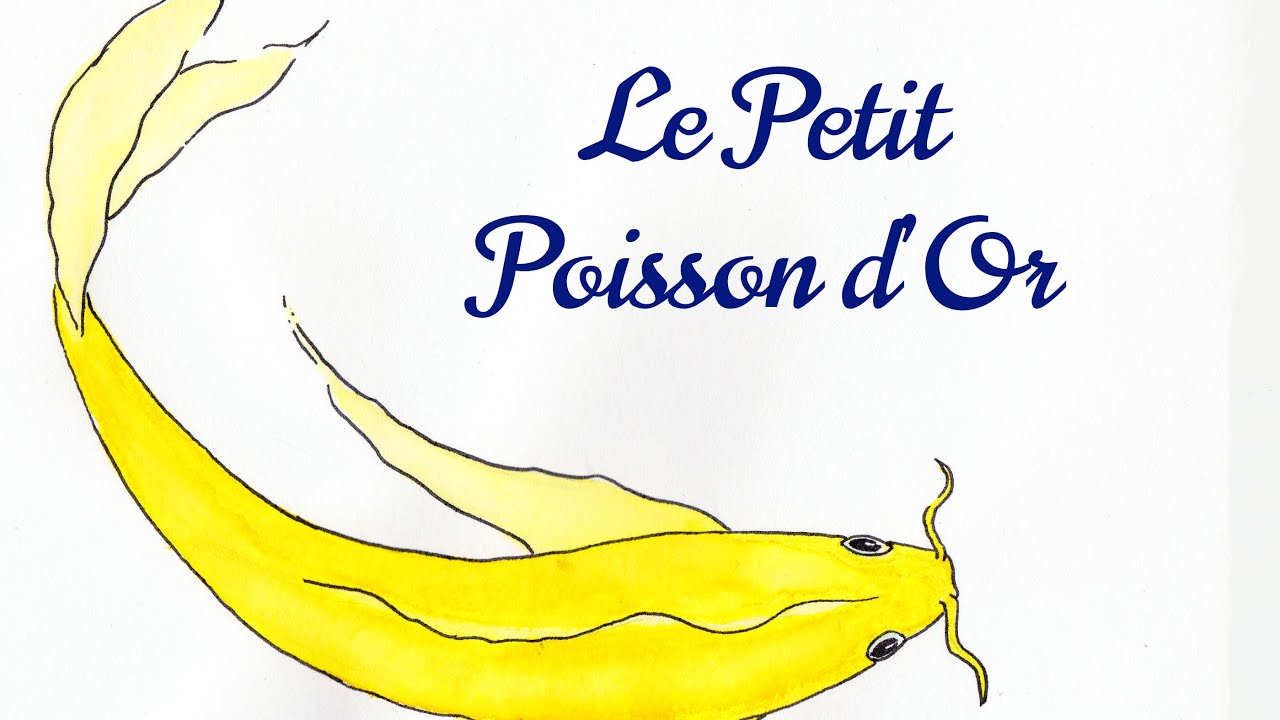 Les Contes illustrés 3 Le Petit Poisson d'Or YouTube — free download