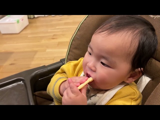 [ASMR]赤ちゃんが初めてせんべいを食べる音