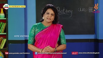 KITE VICTERS Plus two Botany Class 14 (First Bell-ഫസ്റ്റ് ബെല്‍)