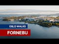 Oslo Walks 4K: Fornebu