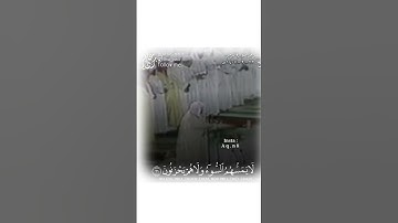 تلاوة بديعة حجازية للشيخ علي جابر رحمه الله #short #subscribe #video #reel #makkah #الإشتراك #shor