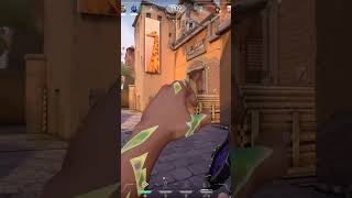 Reaver Ace With New Agent Waylay