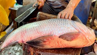 Incredible Big Katla Fish Cutting By Expert Fish Cutter | Fish Cutting Skills