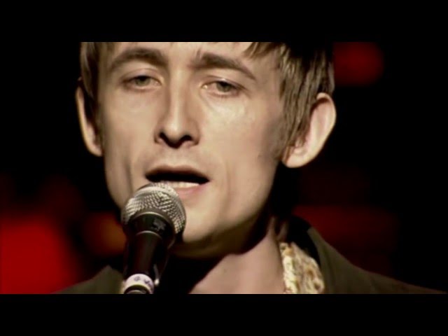 The Divine Comedy - Absent Friends