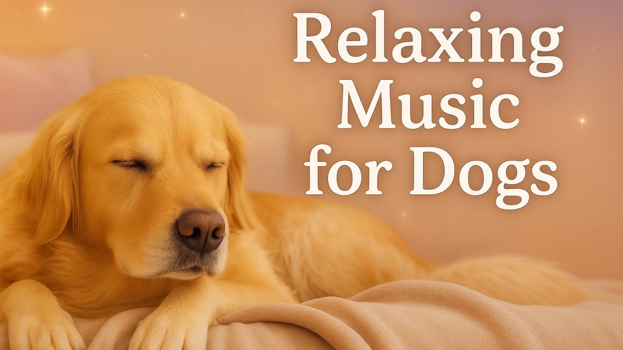 Lullaby Music for Fur Babies