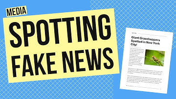 How to Spot Fake News: Media Activity
