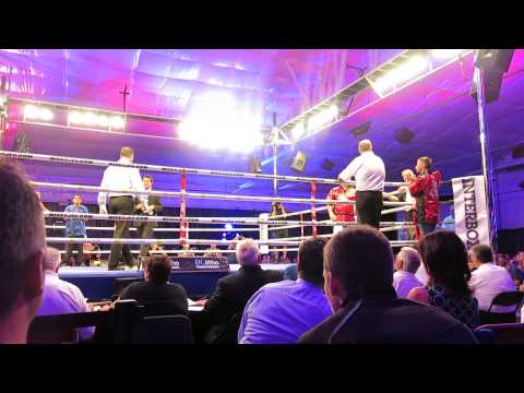 Artur Beterbiev vs Alvaro Enriquez fight footage