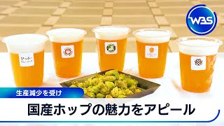 国産ホップの魅力をアピール　生産減少を受け【WBS】