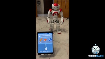 roboMate NAO demo, Robot Assisted therapy for educators and therapists.